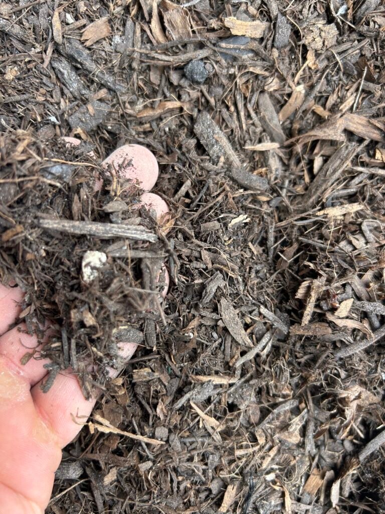 Organic Grow Mix soil delivery in Palm Beach County